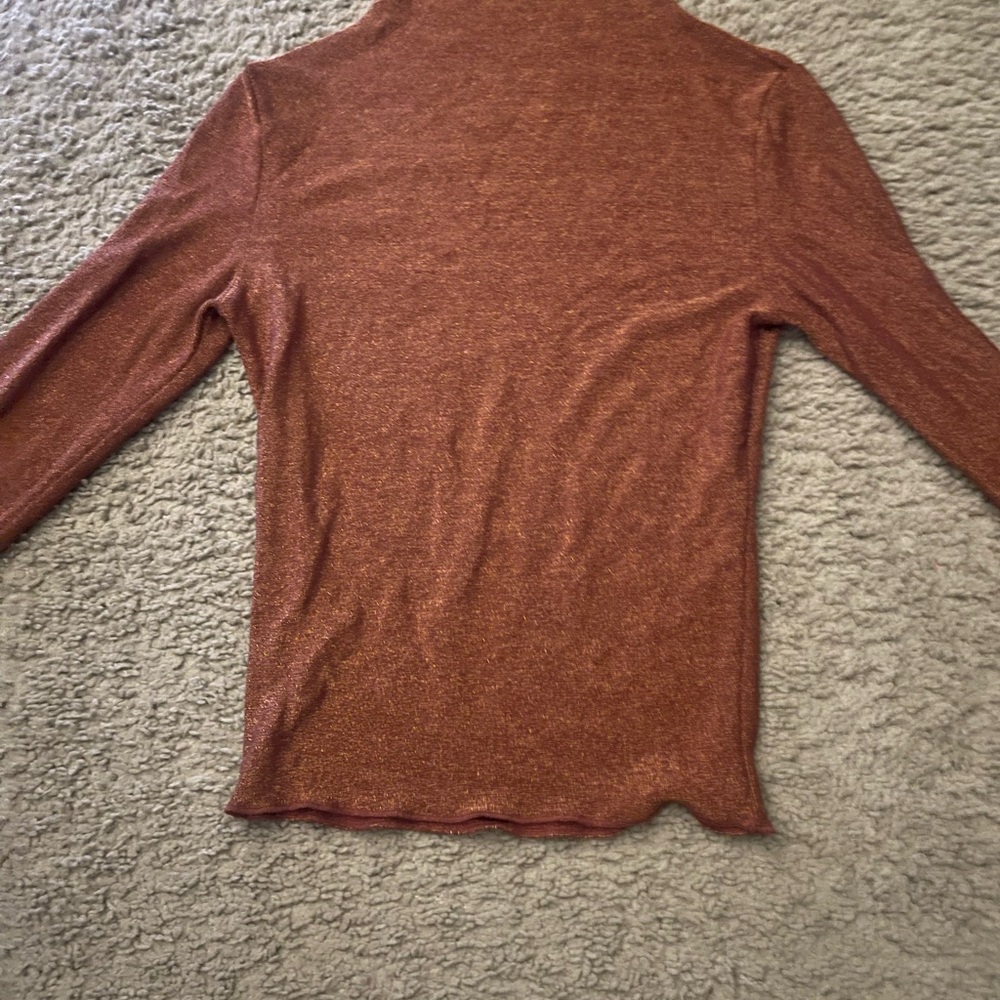 Rust Long Sleeve Turtleneck Top